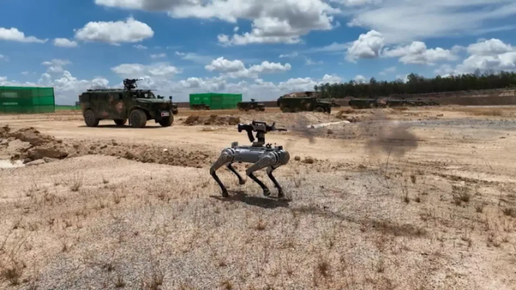 robot battle "dog"